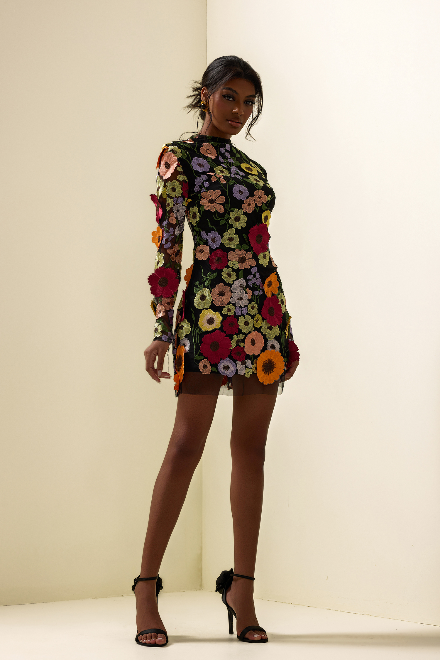 Floral Embroidered Long Sleeve Mini Dress